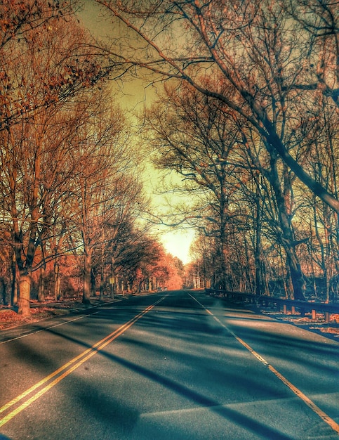 Photo une route vide dans la forêt