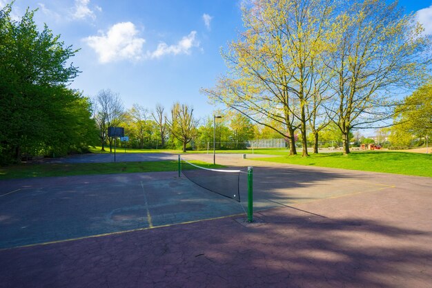 Une route vide dans le parc