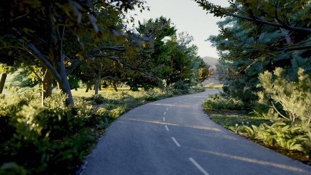 Une route vide le long des arbres