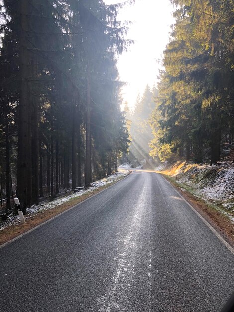 Photo une route vide le long des arbres