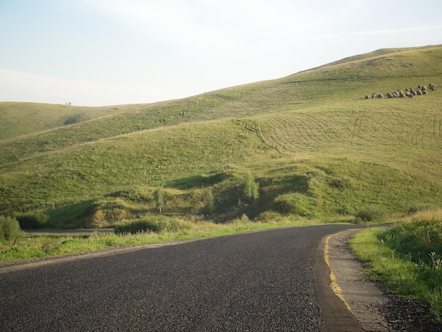 Route vide avec paysage. Autoroute asphaltée. Nature en campagne avec des collines verdoyantes. Voyage et voyage. Itinéraire en été. Vue sur l'autoroute avec arrière-plan. Point de vue horizontaux. Balade champêtre et dépaysement.