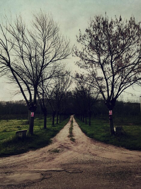 Photo une route vide traversant le paysage