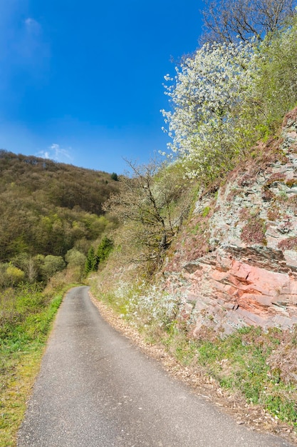 Route des Vignobles de la Moselle Allemagne