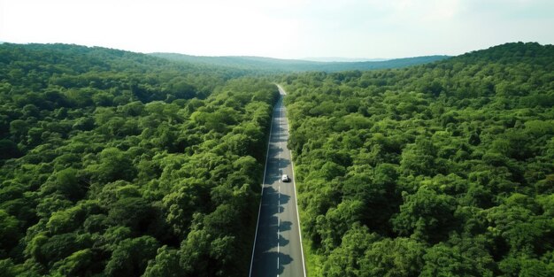 Route de vue aérienne dans la forêt du milieu Route de vue de dessus traversant l'aventure de la forêt verte Ecosystème écologie environnement sain voyage sur la route voyage