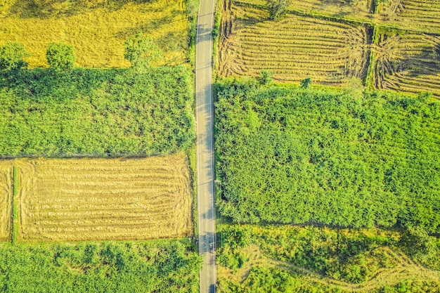 Route vue de dessus dans la campagne