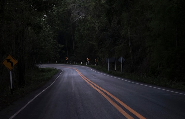 Route Sur La Vue Sombre Sur La Route De Montagne Parmi Les Arbres De La Forêt Verte - Route Goudronnée Courbe Effrayant Solitaire La Nuit