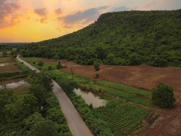 Routes de campagne, terres agricoles et forêts vertes, prise de vue aérienne par drone