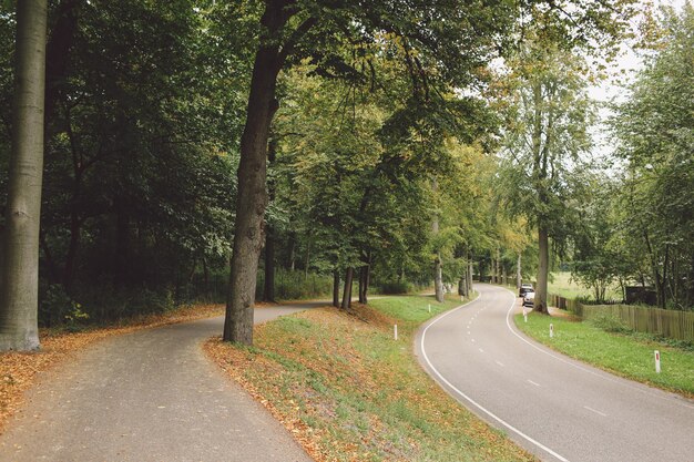 Photo des routes par des arbres