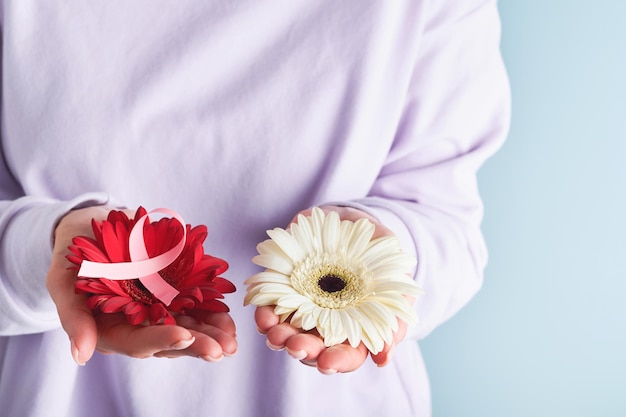 Ruban rose de sensibilisation au cancer du sein Mains féminines tenant un gerbera rouge avec un ruban rose sur fond bleu Sensibilisation au cancer du sein et octobre Journée rose Journée mondiale du cancer Vue de dessus Maquette