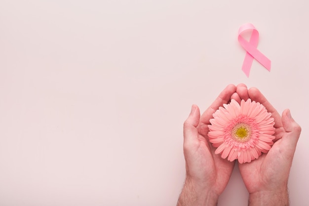 Ruban rose de sensibilisation au cancer du sein Mains tenant gerbera et ruban rose sur les arrière-plans Sensibilisation au cancer du sein et octobre Journée rose Journée mondiale du cancer Vue de dessus Maquette