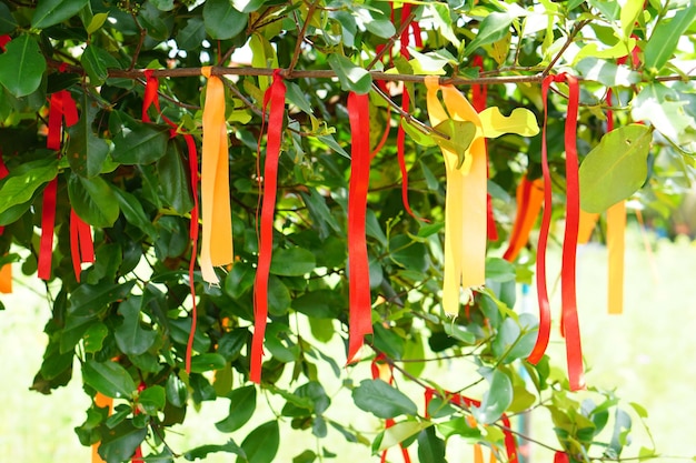 Rubans multicolores attachés sur l'arbre