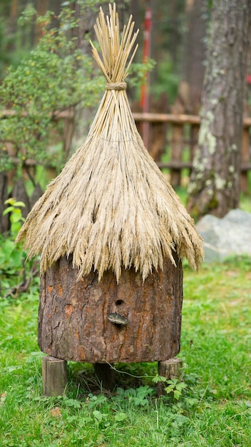 Ruche d'abeilles dans la forêt