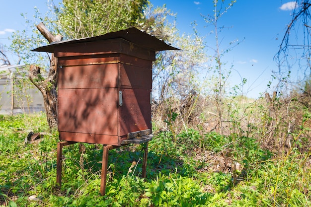 Ruche d'abeilles dans le jardin