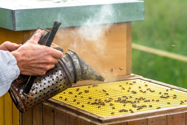 Ruche d'abeilles fumée lors de la manipulation de cire d'abeille et de miel