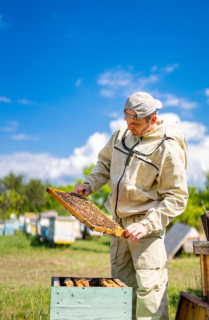 Rucher apiculture agriculture cadre en bois tenant dans les mains