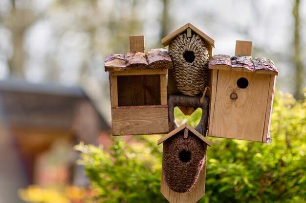 Photo des ruches pour les abeilles