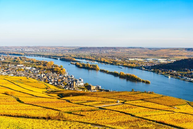 Rudesheim am Rhein en automne Hesse Allemagne