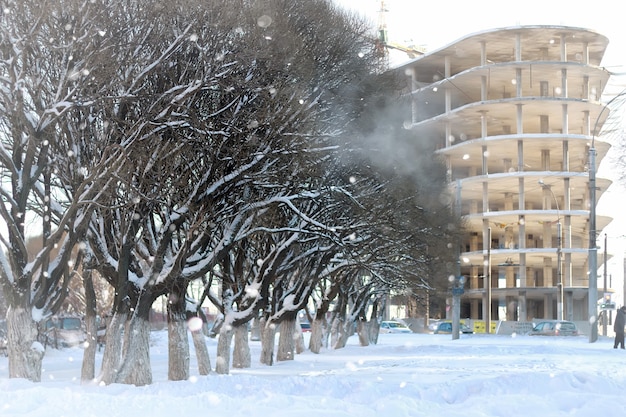 rue arbre bois piéton hiver