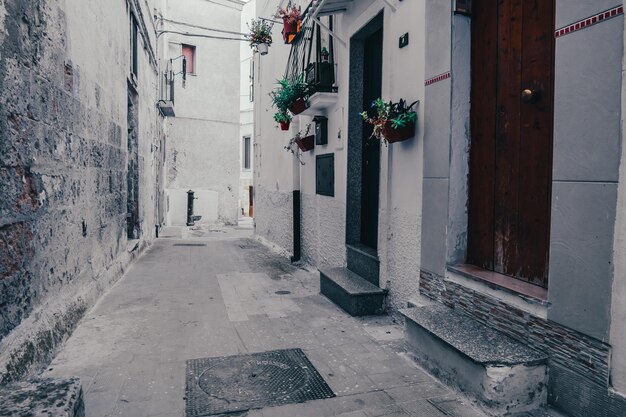 Une rue au milieu des bâtiments de la ville