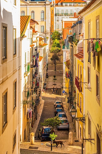 Rue authentique étroite de Lisbonne Portugal