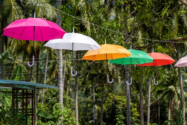 Rue décorée de parapluies colorés island Koh Phangan Thaïlande