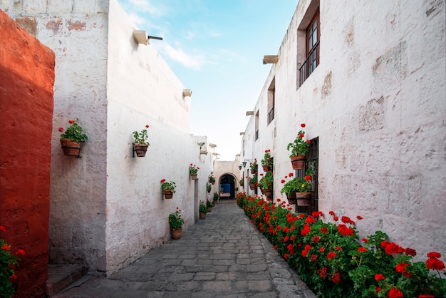 Rue du monastère d'Arequipa avec des fleurs