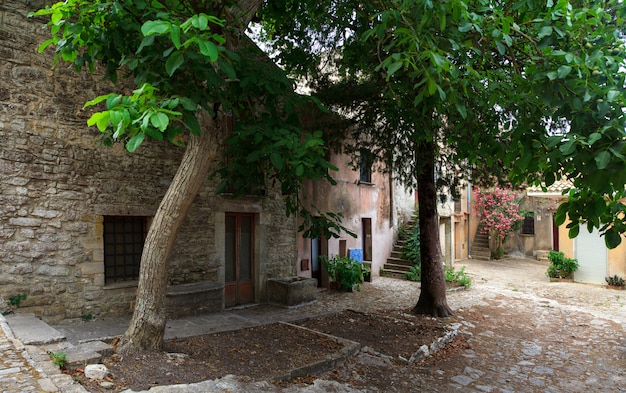 Rue Erice