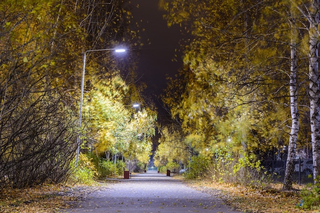 La rue nocturne en automne avec des chemins parsemés de feuilles jaunes tombées et de lanternes nocturnes. Paysage de nuit d'automne.