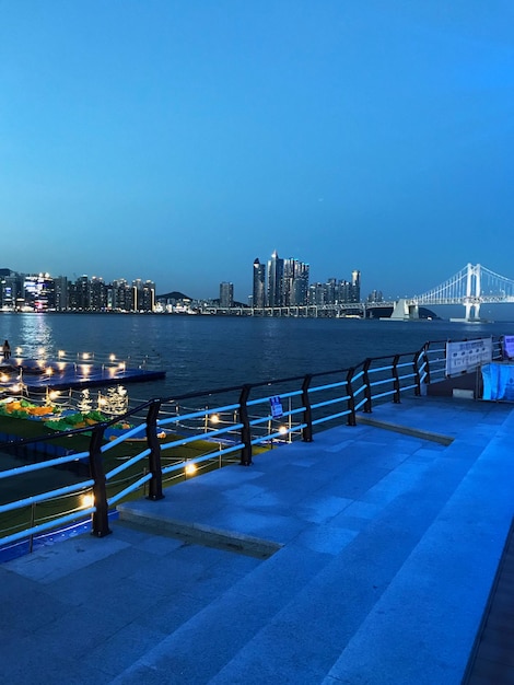 rue de nuit de la ville de Busan. Médias de remblai et buissons. Lumières de la ville la nuit