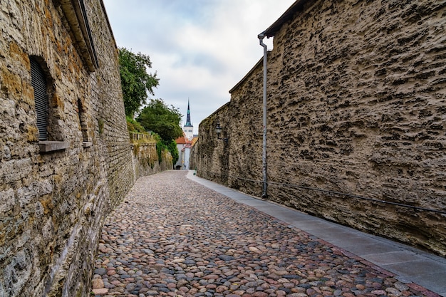 Rue pavée à côté des murs de pierre de la ville de Tallinn. Estonie.