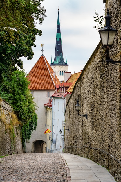 Rue pavée à côté des murs de pierre de la ville de Tallinn. Estonie.