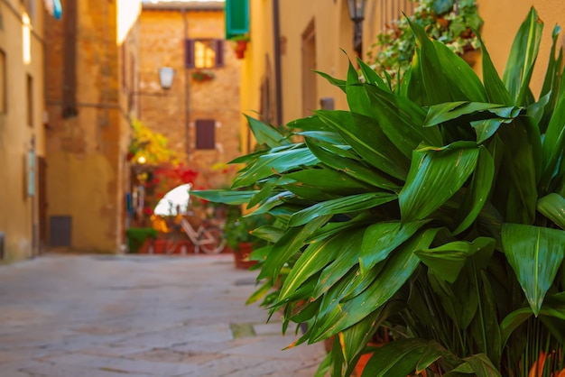 Rue de Pienza