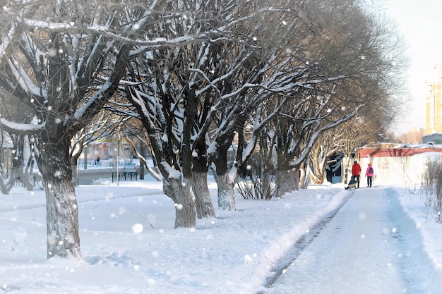 Rue piéton bois arbre hiver