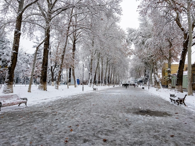 Rue piétonne couverte de neige dans la ville de Samarcande