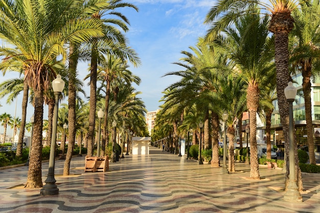 Rue piétonne avec des palmiers Explanada de Espana à Alicante.