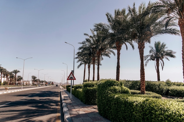 Rue à Sharm El Sheikh. Une route goudronnée parmi des paysages tropicaux dans une station balnéaire de la péninsule du Sinaï