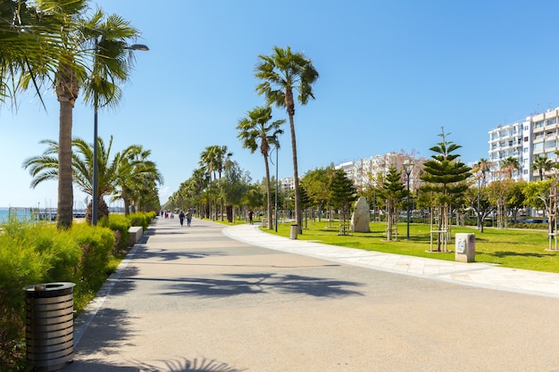 Rue vide dans le grand jardin agréable et confortable sous un beau ciel bleu