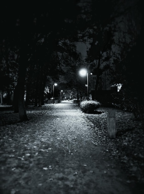 Photo une rue vide et éclairée la nuit.