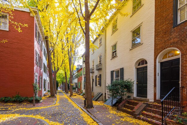 Photo ruelle d'automne à philadelphie pennsylvanie usa