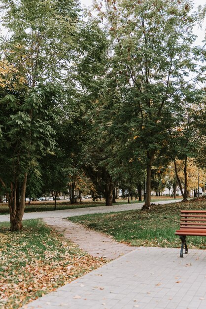 Ruelle dans le parc d'automne avec un chemin en pavés