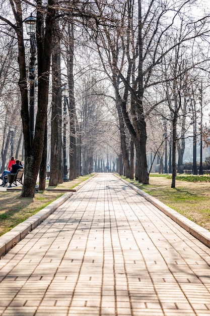 Photo ruelle pour des promenades dans le parc du printemps.