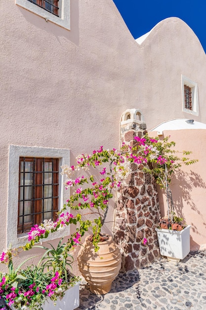 Ruelle traditionnelle des Cyclades avec une rue étroite, des maisons blanchies à la chaux et un bougainvillier en fleurs