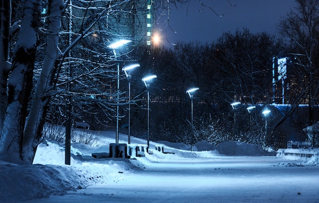 Rues enneigées du parc le soir