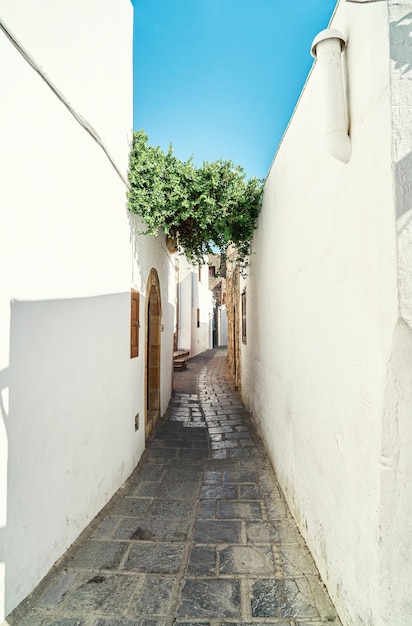 Rues étroites avec des maisons aux murs blanchis à la chaux et des buissons en fleurs dans la ville grecque historique de Lindos