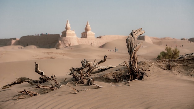 Ruine désolée de la ville noire Arbre mort Mongolie intérieure Alexa Ejin Banner