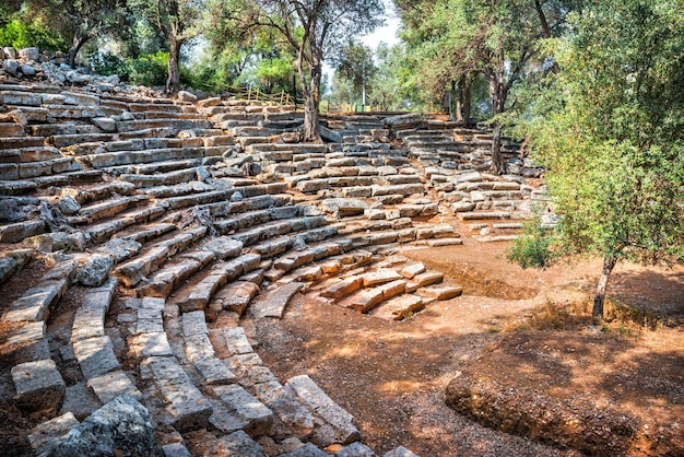 Ruines de l'ancien amphithéâtre sur l'île de Cléopâtre l'île de Sedir Mer Égée Marmaris Turquie