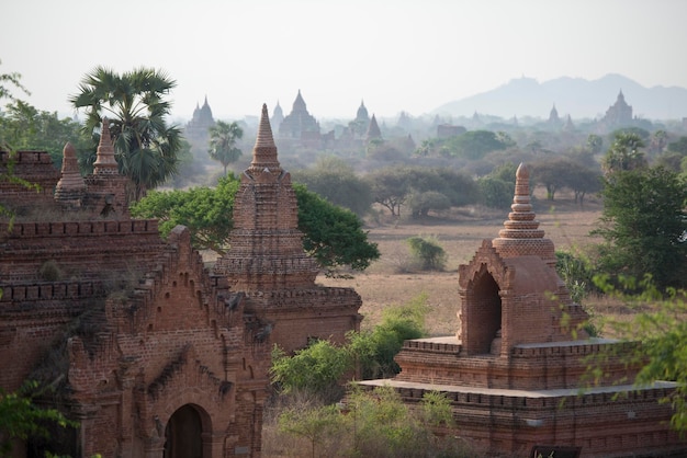 Les ruines d'un ancien temple