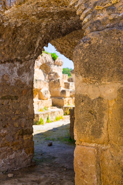 Photo ruines de l'ancienne carthage