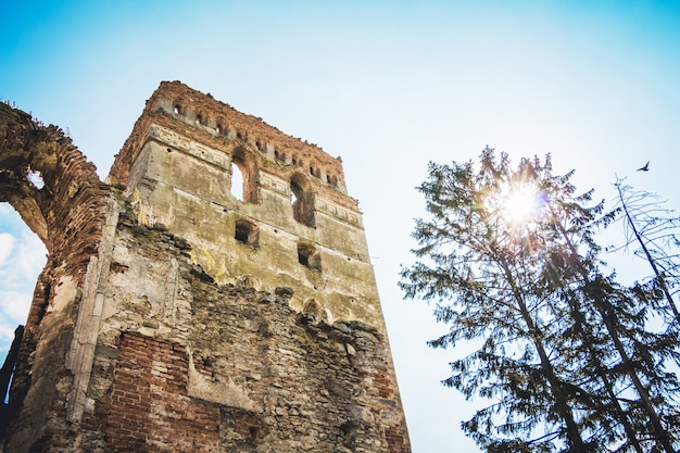Les ruines de l'ancienne forteresse - une tour sur le fond d'un ciel bleu près du sapin