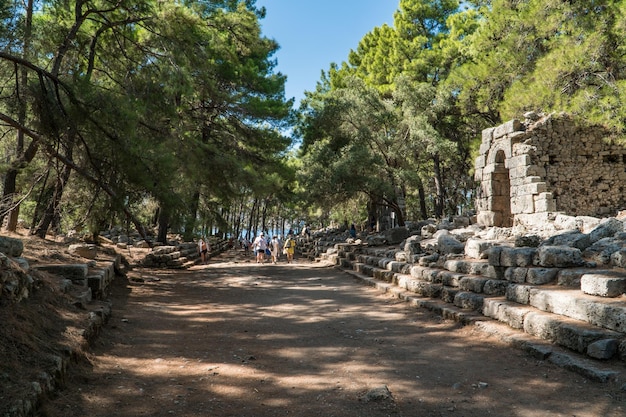 Ruines d'une ancienne rue centrale dans l'ancienne ville de Phaselis dans la région de Kemer du district d'Antalya en Turquie